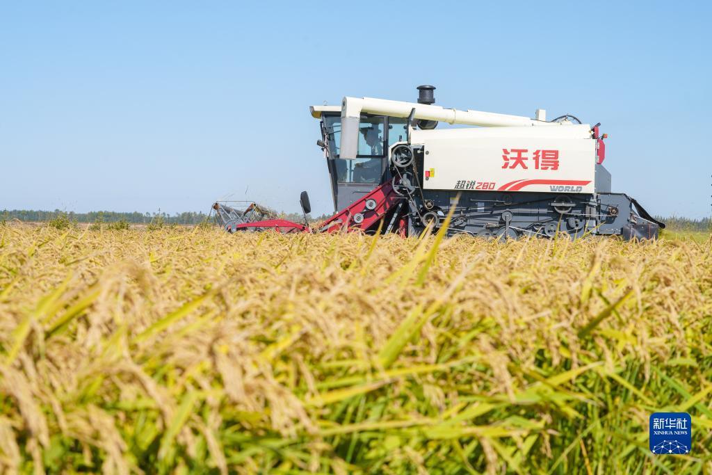 大润发会员网上可以办吗